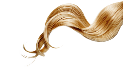 Blond hair isolated on white background. Long wavy ponytail