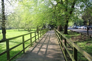Scenic pathway lined with wooden railings, surrounded by lush green trees and grass, with sunlight filtering through the leaves, creating a peaceful park setting.
