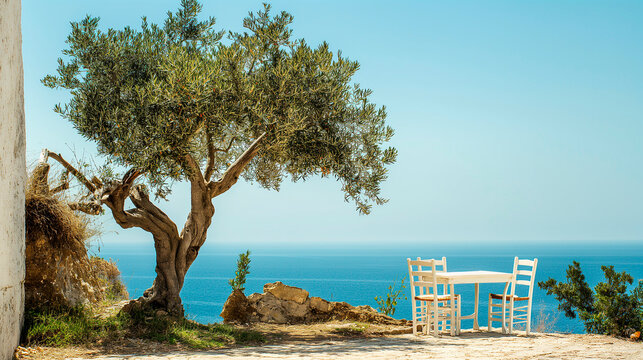 A lonely full of olives tree on a greek coast cliff, old white greek house, old white chairs and table