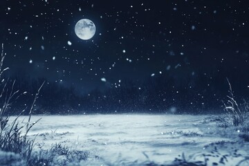 Naklejka premium Snow's Serenade: An Animated Snow Scene with Tranquil Snowflakes Dancing in the Moonlight