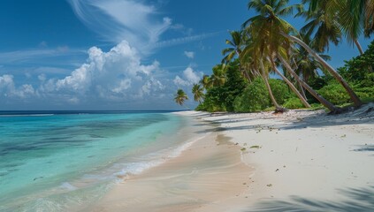 Pristine Tropical Beach with Palm Trees and Turquoise Waters