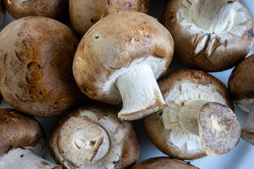 Close-up of brown mushrooms, highlighting their detailed gills and earthy texture. Perfect for nature, culinary, or botanical themes.