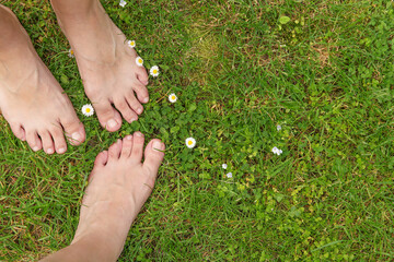 Women walking barefoot on green grass outdoors, top view. Space for text