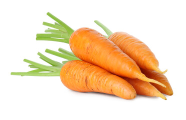 Fresh ripe juicy carrots isolated on white