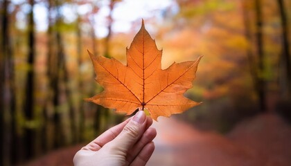 단풍잎 들고 있는 손