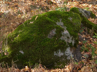 big stones on the ground