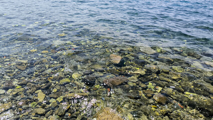 Adriatic sea surface with pebbles and stones 