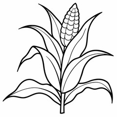 Line art of corn plant growing in the field 