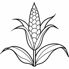Line art of corn plant growing in the field 