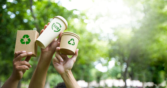 Eco-Environmentally friendly paper containers and packaging made from biodegradable materials, zero waste and recycling concept, green or disposable packaging.