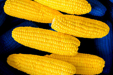 Background of fresh sweet corn