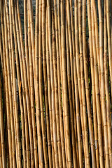 Detail of a fence made from dry reed