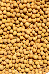 Detail of a surface covered with uncooked dry soybeans