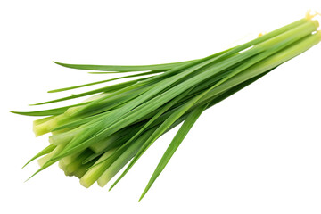 A Lush Bundle of Fresh Garlic Chives Ready For Culinary Use on a White or Clear Surface PNG Transparent Background