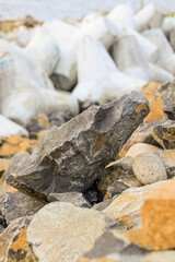 rocks with tetrapods