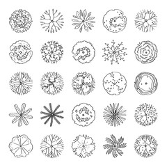 top view of tree illustration isolated on white background.