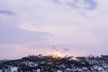 clouds over the forest