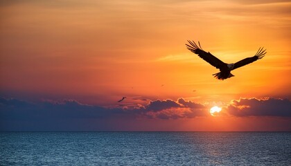 eagle in the sunset