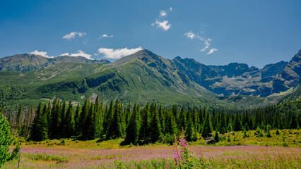 Polish mountains. Tatra Mountains. Gąsienicowa Valley. © Piotr