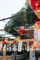 風鈴祭り