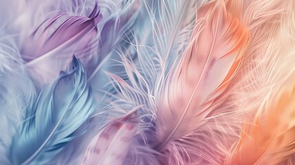 Obraz premium Feather pattern wallpaper