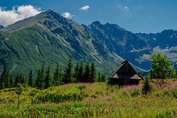 Polish mountains. Tatra Mountains. Gąsienicowa Valley.