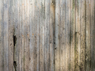 Fototapeta premium Weathered wood for texture or background
