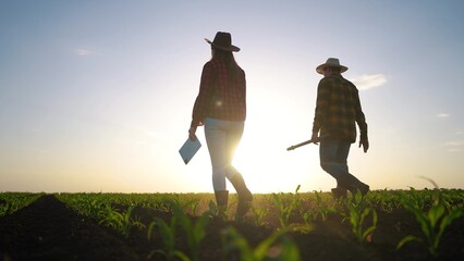 Agriculture. a group of farmers working in a corn field. business ecology agriculture gardening concept. group of farmers silhouette walking in a field with corn. teamwork lifestyle business concept © maxximmm