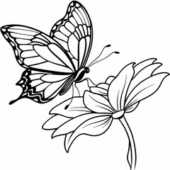 Butterfly and flower line art