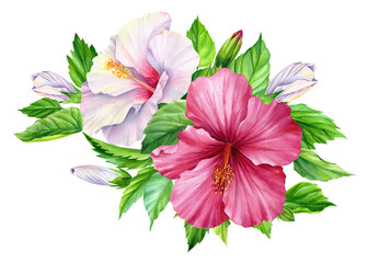 Exotic flowers. hibiscus flowers and leaves. Summer botanical painting, watercolor illustration Jungle flora isolated