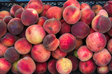 Peach