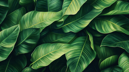 Fototapeta premium detailed, realistic, close-up, lush, green, tropical leaves, layered, overlapping, natural textures, veins, rich green hues, intricate details, leaf surfaces, natural, vibrant, depth