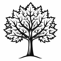 Obraz premium A stylized black and white line drawn of a Maple tree