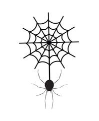 Spider with a Cobweb. 