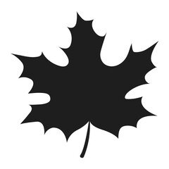 Maple leaf silhouette isolated on transparent background, vector