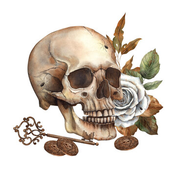 Skull with white roses, green and autumn leaves, copper key and coins. Watercolor illustration hand drawn in gothic style for Halloween design and decoration, cards, invitations, posters, packaging