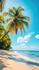 Summer Resort Beach Sea Relax Travel Vacation Palm Tropic Copy Space Banner Background Hotel