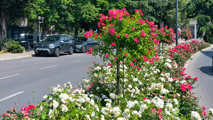 Portoroz town in Slovenia, in bright spring day