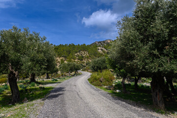 Landscape with mountains,road, sky,trees.