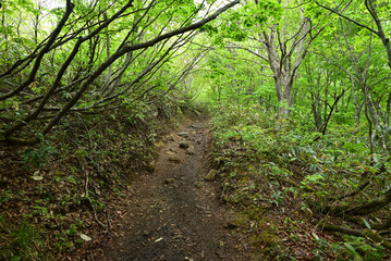 Climbing Mt. Bandai,  Aizu, Fukushima