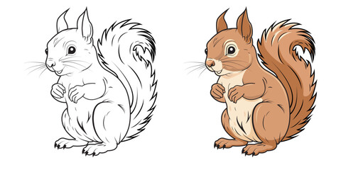 A set of squirrels, one outlined and one colored. Cute squirrels in a cartoon style.