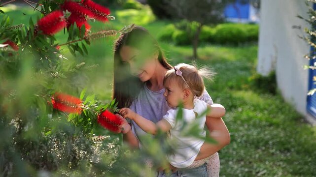 Mom with a little daughter in her arms stands near the red flowers of callistemon in the garden. High quality 4k footage