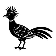 Hoatzin Vector Illustration - Cartoon Clipart and Line Art Design