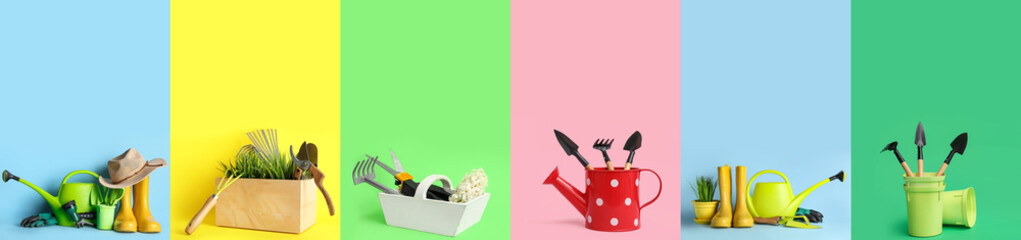 Set of gardening supplies and plants on color background