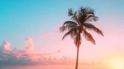 Palm Tree Silhouette at Sunset