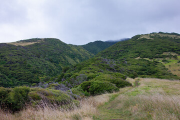 Naklejka premium Breathtaking view over Te Toto Gorge Lookout and Mt Kariori on an overcast summer day. High vantage point. Raglan Waikato