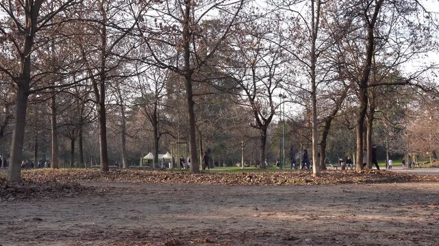 Footage of people walking and relaxing in Indro Montanelli gardens, Porta Venezia district, Milan, Italy, in winter season, daylight, fixed frame, Milan, Italy