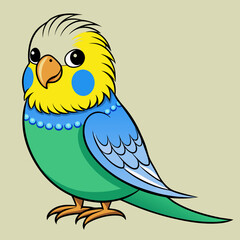Budgerigar Budgie vector illustration