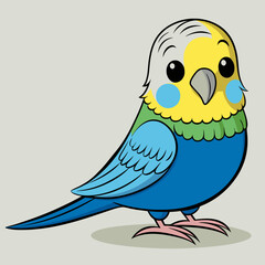 Budgerigar Budgie vector illustration