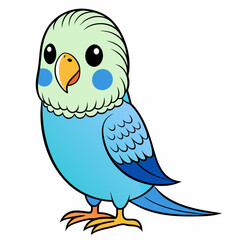 Budgerigar Budgie vector illustration